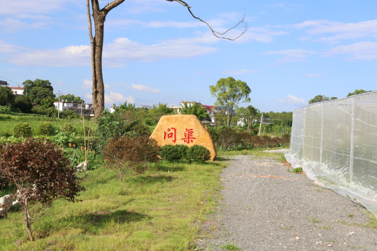 這裡顏值價值“雙在線”——江西水利電力大學鄉村振興幫扶工作側記_fororder_圖片6