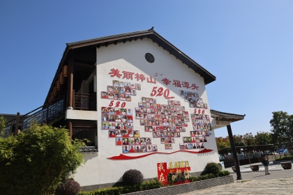 富硒大棚裏的“新長征”——中外青年見證潭頭村振興路