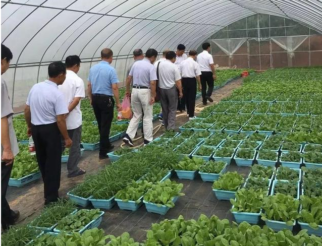 江西都昌縣：離退休幹部“三當”助力鄉村振興