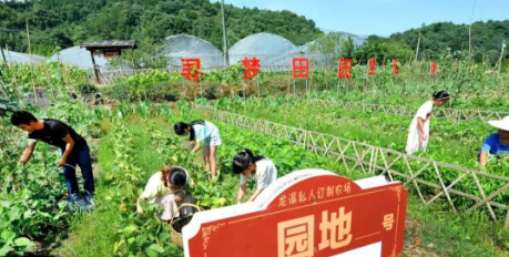 上饒市廣豐區東陽鄉：大抓基層強治理 奏響和美鄉村“三部曲”