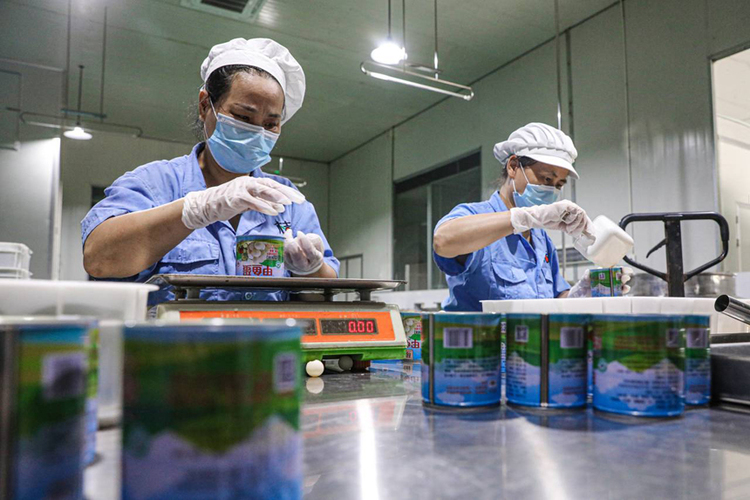 江西南豐：小金蛋“孵”出大産業_fororder_1
