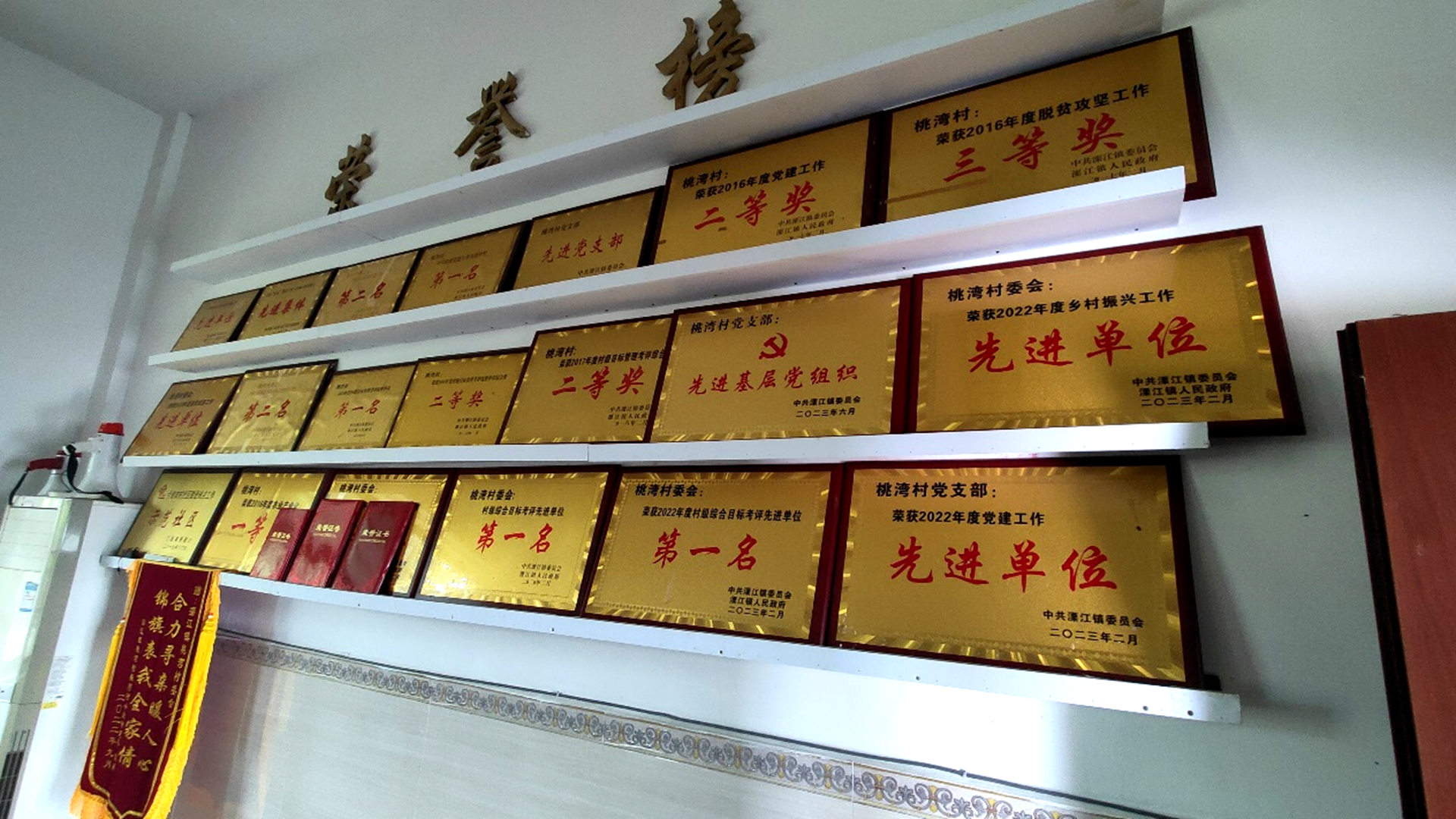 吉安市新幹縣桃灣村：鄉村振興別樣紅_fororder_29