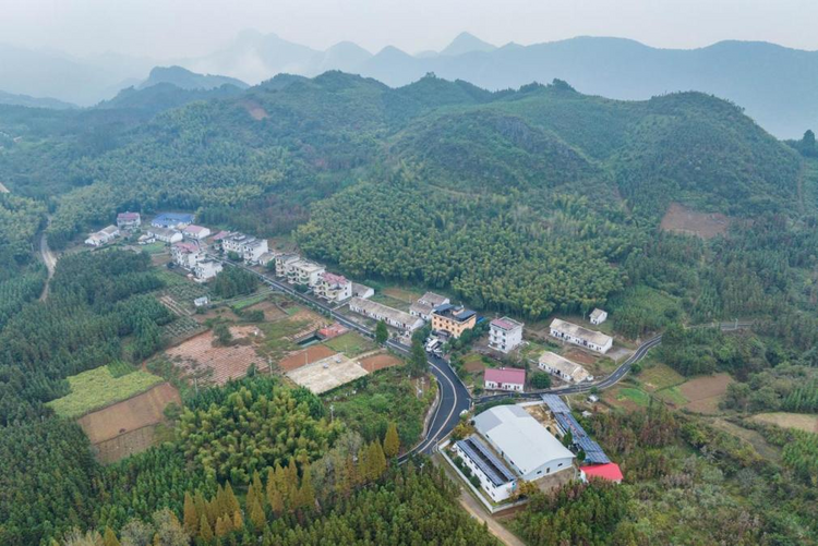 江西盆溪村：鄉村振興勁頭“火辣”_fororder_圖片1