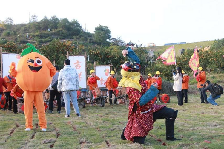 江西南豐喜迎第十六屆蜜桔節 “甜蜜”産業結出幸福果_fororder_圖片4