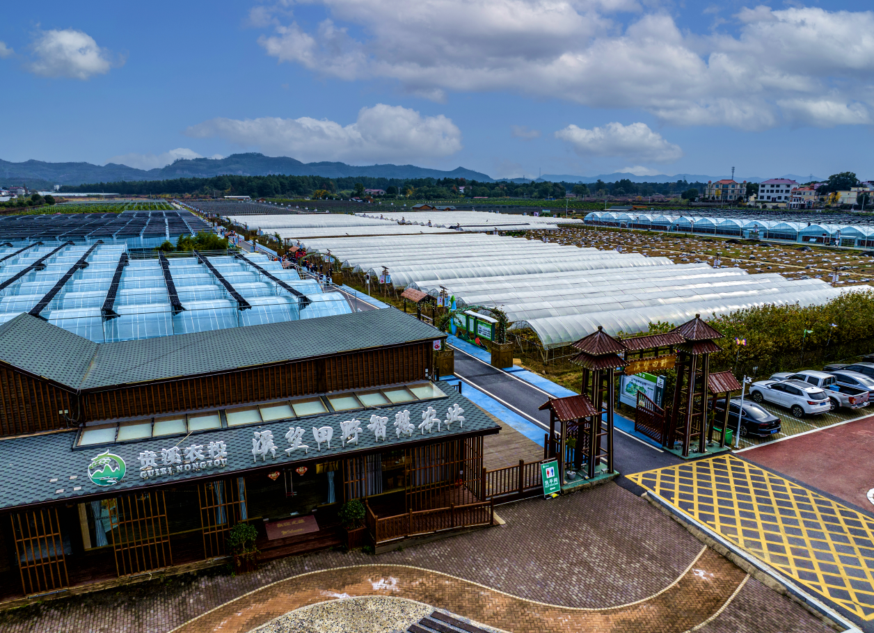 “聚焦‘溪望田野’助力鄉村振興——2023江西攝影名家走進貴溪”主題攝影采風活動啟動_fororder_圖片10
