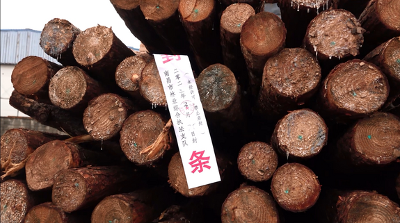執法_fororder_微信截圖_20231211102506