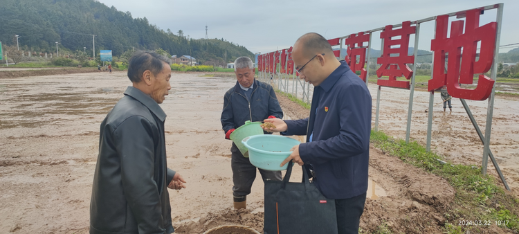 江西崇仁六家橋鄉人大：助力早稻生産 保障糧食安全_fororder_圖片9