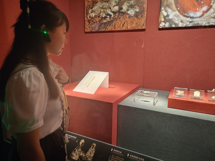 紀念鄭成功誕辰400週年贛臺大學生排球邀請賽活動舉行_fororder_圖片12