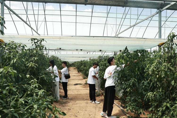 南昌航空大學航空製造工程學院開展暑期社會實踐活動_fororder_圖片9
