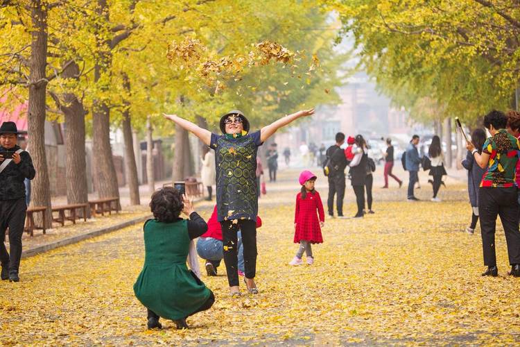 大連旅順：秋濃太陽溝