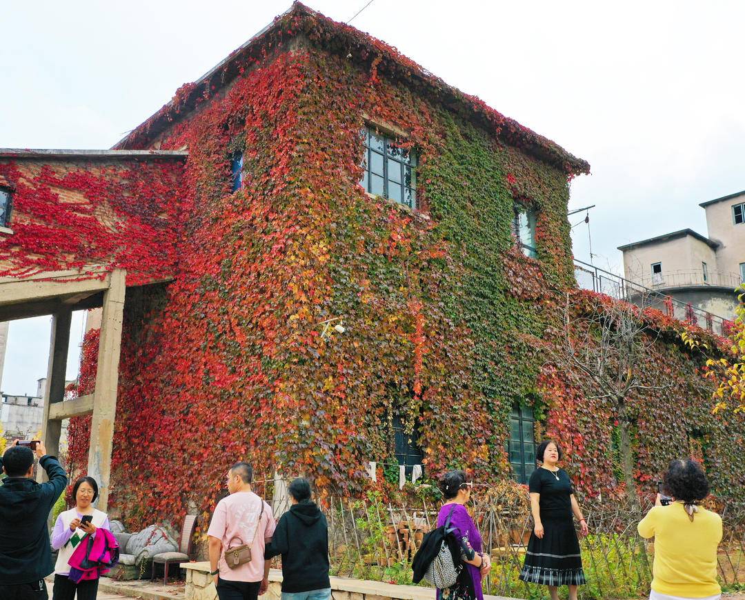 大連：紅葉“紅”了老廠房