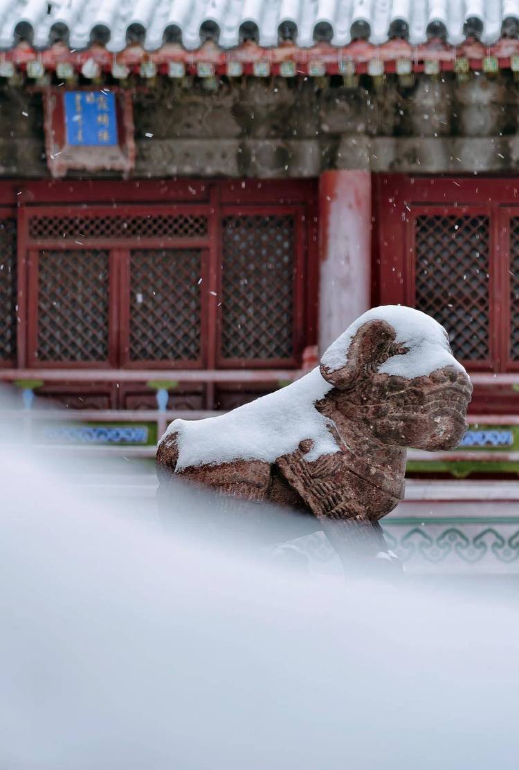 雪後瀋陽故宮 大片上新