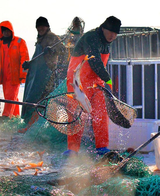 “頭魚”坐上無人機！瀋陽法庫財湖“遼文化”冬捕季出魚啦