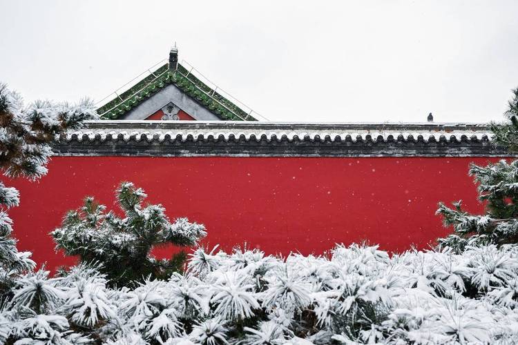 雪後瀋陽故宮 大片上新