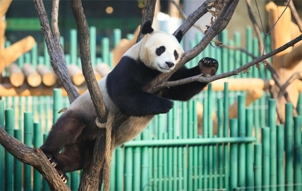 瀋陽森林動物園開展系列活動迎國慶長假