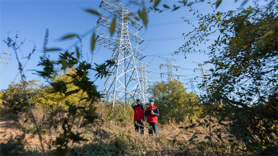 國網遼陽供電公司“地毯式排查”防山火 保電力安全