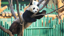 瀋陽森林動物園開展系列活動迎國慶長假