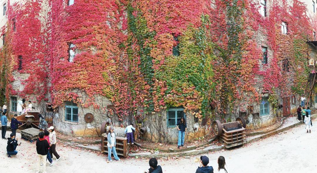 大連：紅葉“紅”了老廠房