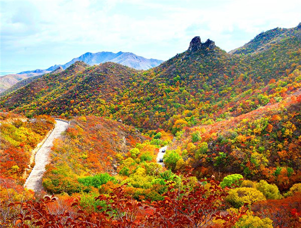 “相約北票 暢遊黑山”文旅推介會在瀋陽舉行_fororder_微信圖片_20200822182128