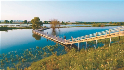 遼河濕地 旅遊大道