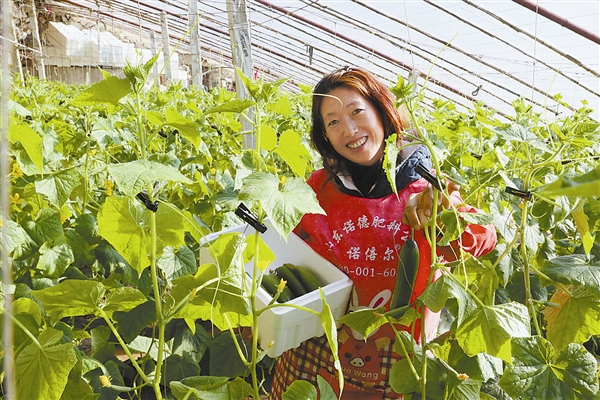 看大連鄉村紅火過大年