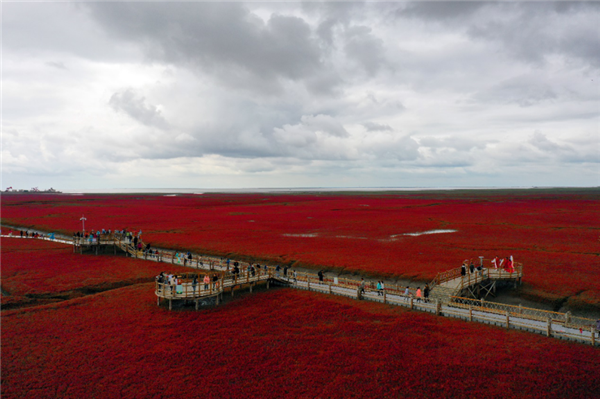 盤錦紅海灘國家風景廊道全面啟動黃金周保障工作