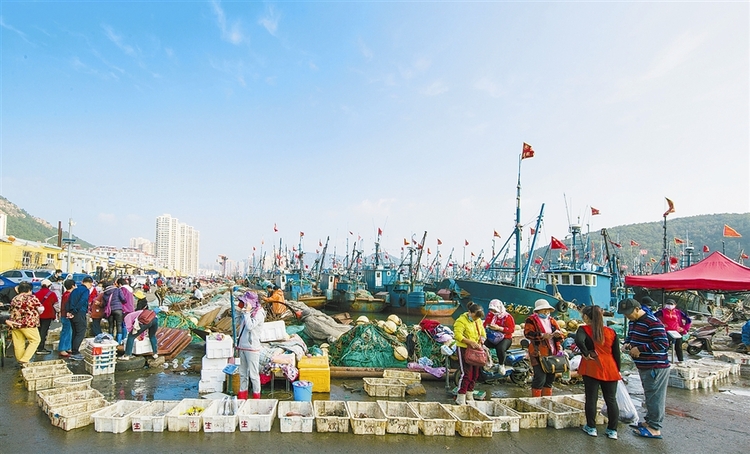 大連：品海