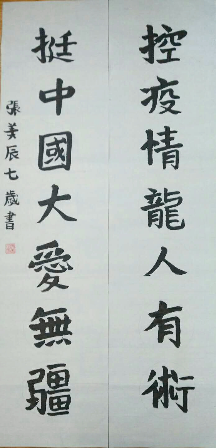 瀋陽“抗疫情 宅生活”網絡創意大賽（軟筆書法）優秀作品展示（四）