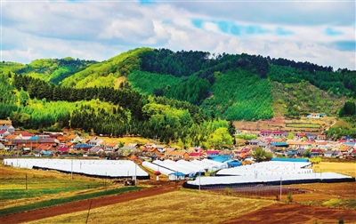 新賓農村垃圾化整為零不圍村