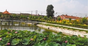 鄉村處處繪新景——大連推進農村人居環境整治三年行動紀實