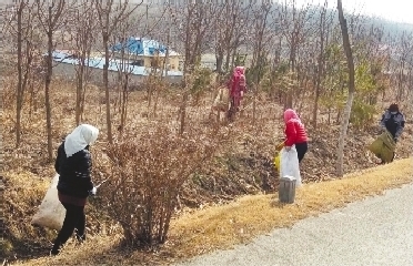 鄉村處處繪新景——大連推進農村人居環境整治三年行動紀實