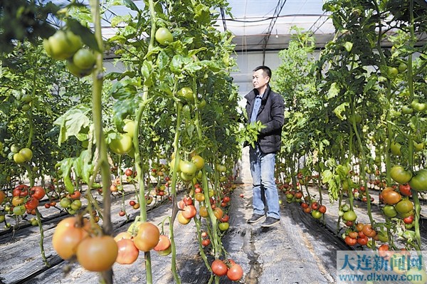 大連市春節消費市場購銷兩旺