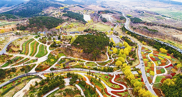 大連英歌石植物園 定格不一樣的春色