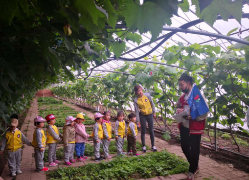 “大拇指研學”帶領瀋陽貝爾迪幼兒園小朋友開展農業研學