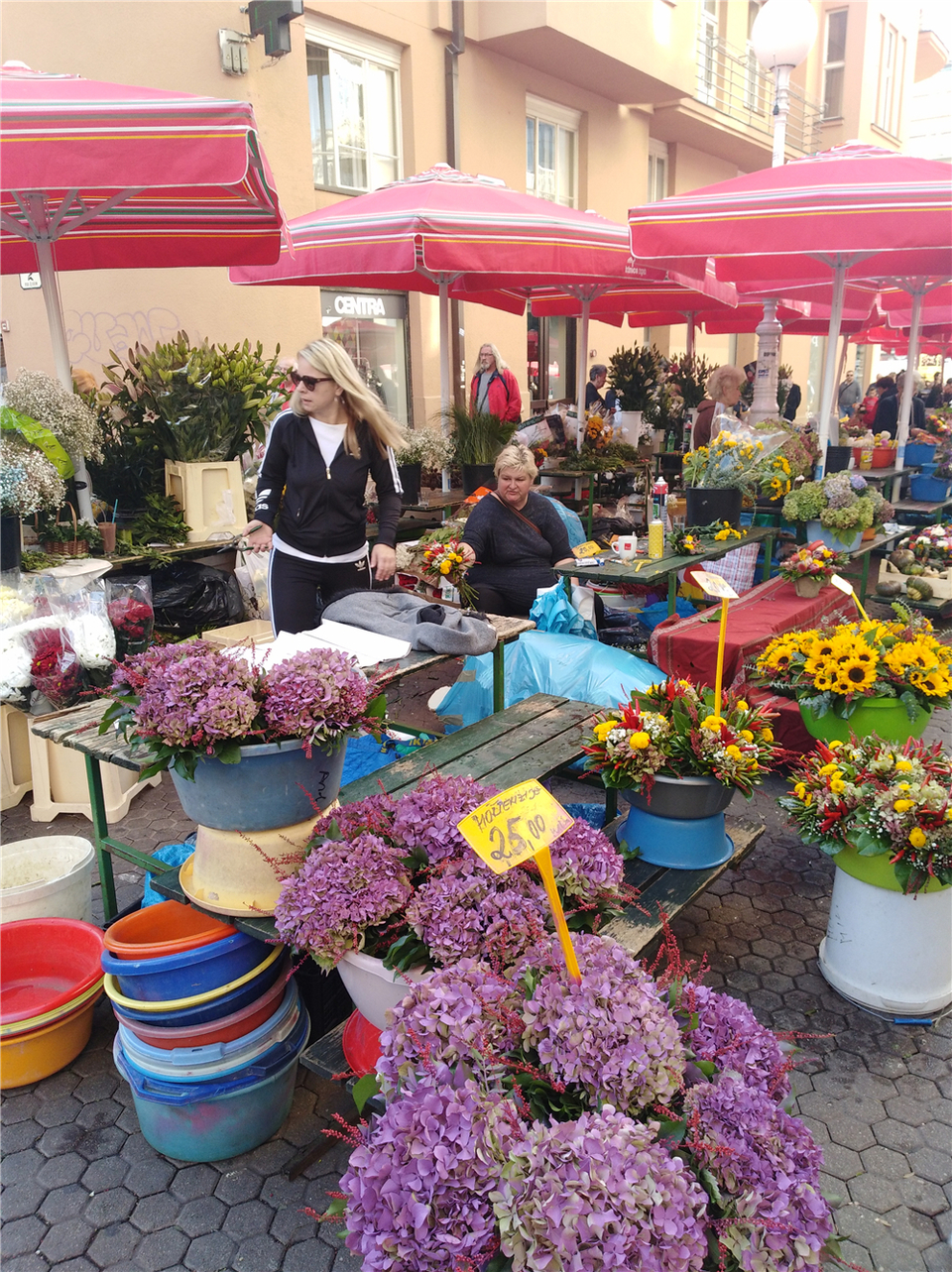 The flower booth on streets of Zagreb, Croatia_fororder_3賣鮮花的商販