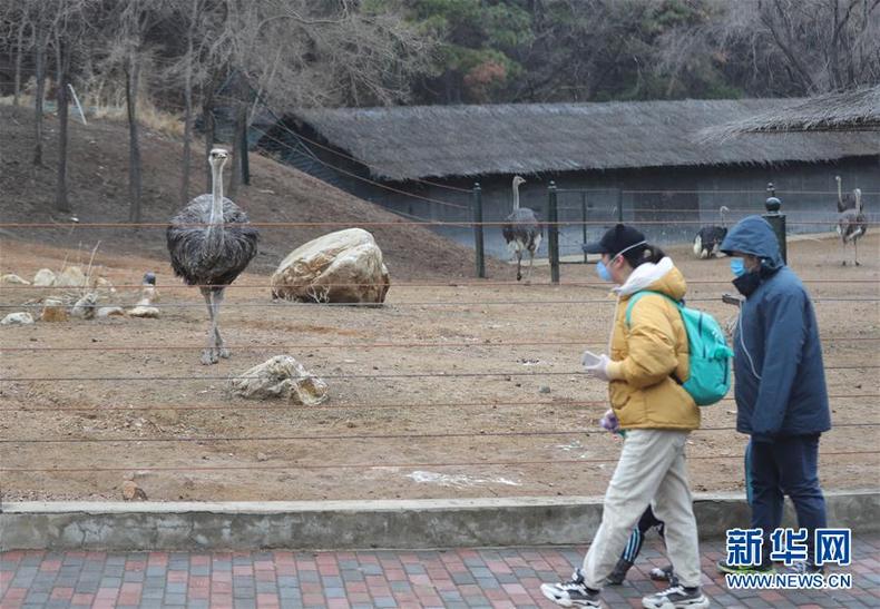 瀋陽森林動物園開園營業