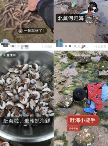 （快手合作）快手“趕海”季來啦！黃渤邀你共享海洋饋贈，共護海洋環境_fororder_快手3