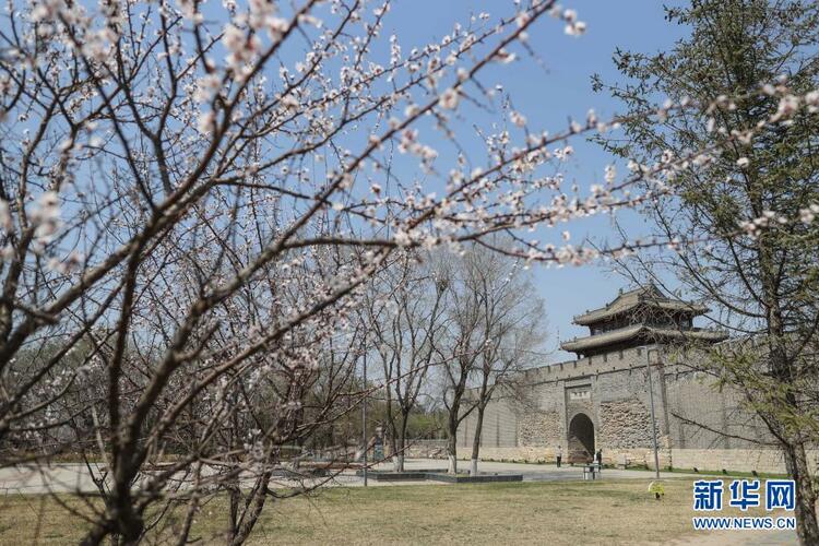 東北振興城市行|讓歷史鮮活起來——一座千年古城的文化堅守_fororder_遼陽4