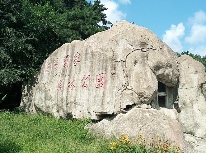 瀋陽國家森林公園推出原始森林“洗肺”騎行遊