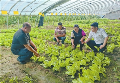 瀋陽渾南區魏家溝社區第一書記董效多： 當好鄉村振興的“領頭雁”_fororder_1