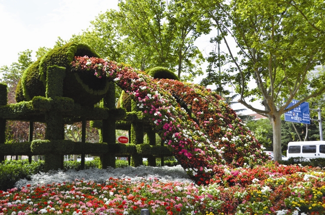 大連：“口袋公園”居民休閒好去處