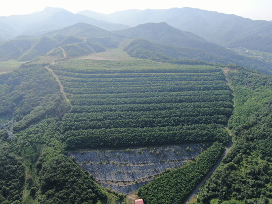 加快推進綠色礦山建設 遼寧構建綠色礦業發展新格局_fororder_圖片11