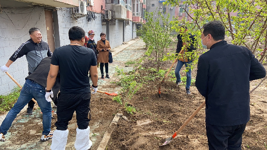 瀋陽遼中區：精細化創衛 讓棄管小區變“花園”_fororder_圖片8