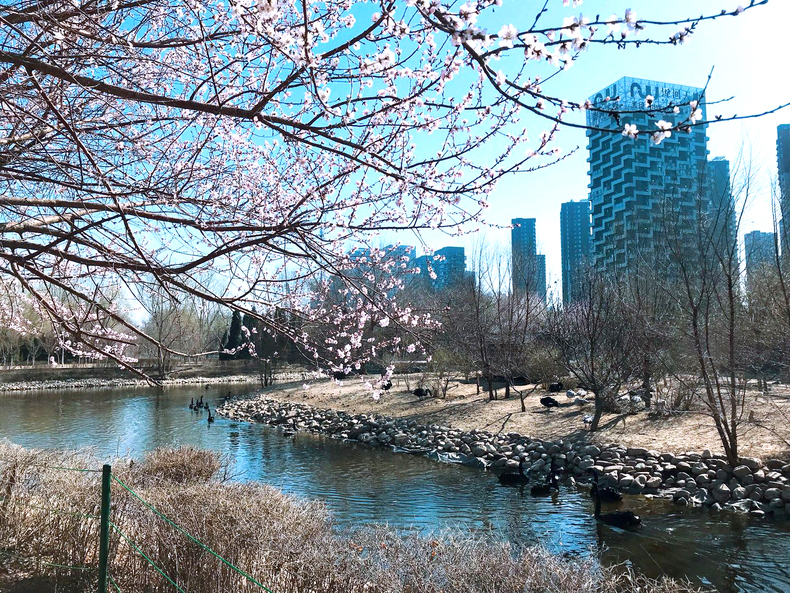 （供圖改成了相應城市文旅局）春暖花開 魅力五城丨“五一”暢遊瀋陽經濟區 旅遊指南請收好