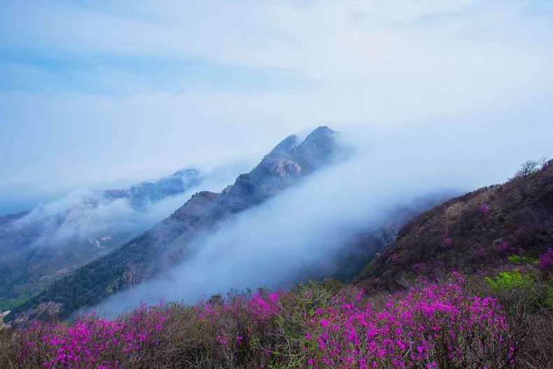 大連大黑山現平流霧景觀