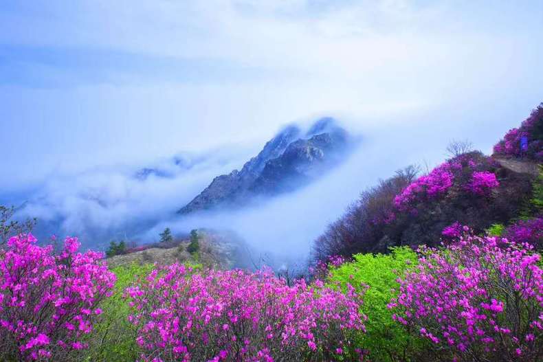 大連大黑山現平流霧景觀