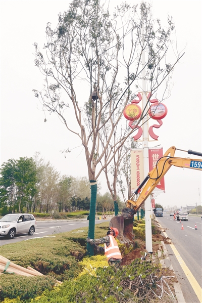 瀋陽：綠化養護忙 不負好春光