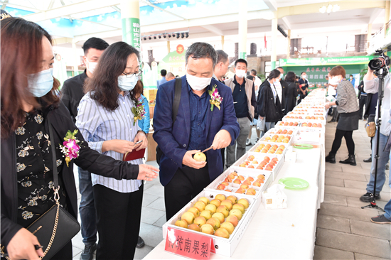 鞍山市農産品品牌宣推活動暨第七場遼寧優質特色農産品品牌宣傳推介活動啟幕_fororder_鞍山4 現場品鑒 攝影：董楠楠