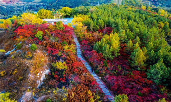 “十一”好去處 瀋陽都市旅遊圈推出8條秋季主題遊線路_fororder_旅遊6_副本