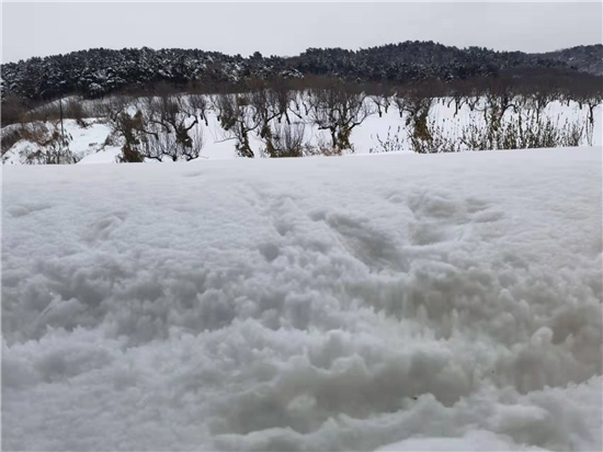 特大暴雪！鞍山市區雨雪總量80.8毫米 破同期極值_fororder_圖片1